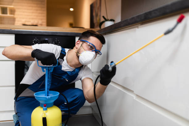 Best Mosquito Control Services  in Gentry, AR