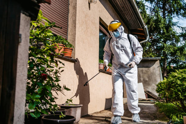 Best Emergency Pest Control  in Gentry, AR