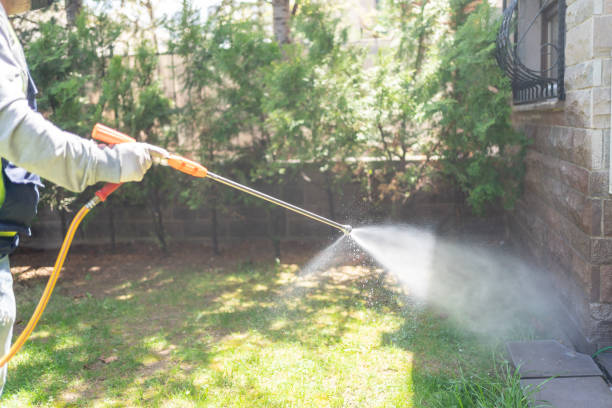 Best Local Pest Control Services  in Gentry, AR
