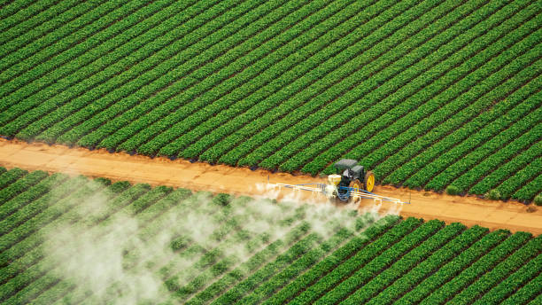 Professional Pest Control in Gentry, AR