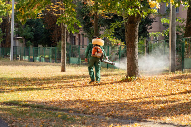 Best Best Pest Control Companies  in Gentry, AR